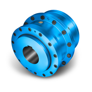 ZAPEX ZW Gear Coupling ZAPEX ZW Gear Coupling